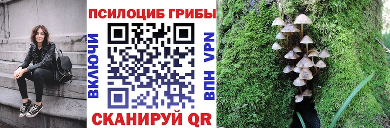 Галлюциногенные грибы прущие грибы  Купить закладки  Благовещенск 