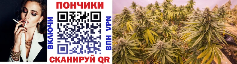 Купить где Благовещенск Бошки Шишки сатива